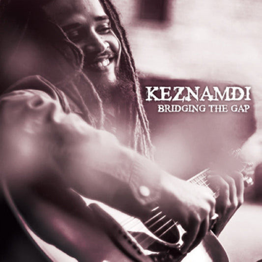 BRIDGING THE GAP CD
